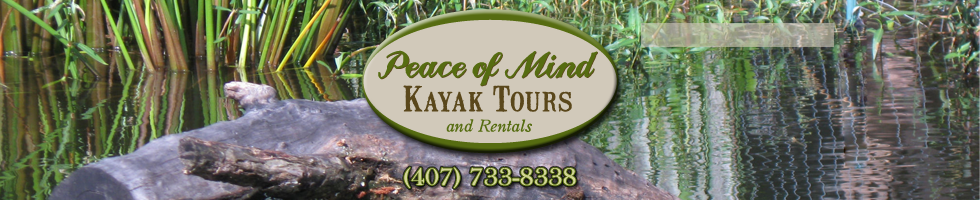 Peace Of Mind Kayak Tours